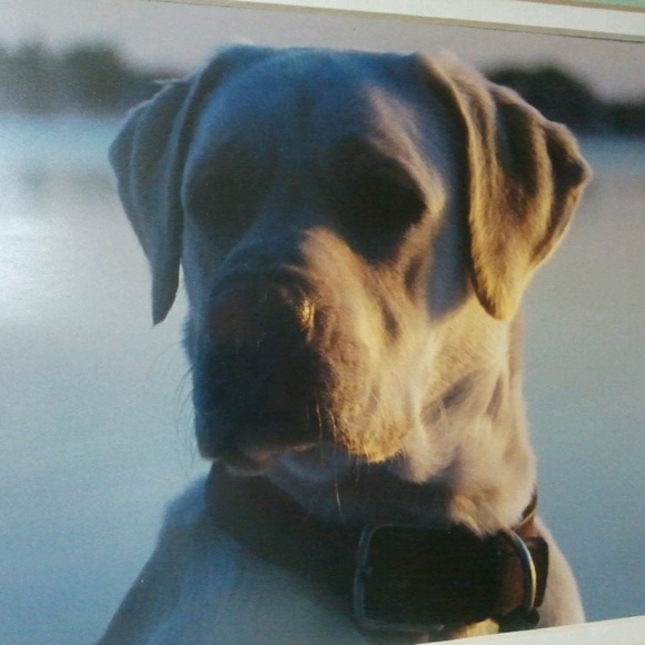 Meet your Posher, Eric - Picture 1 of 1